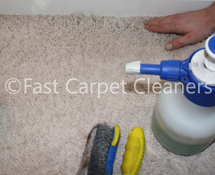 Things to look for when employing Carpet Cleaners London