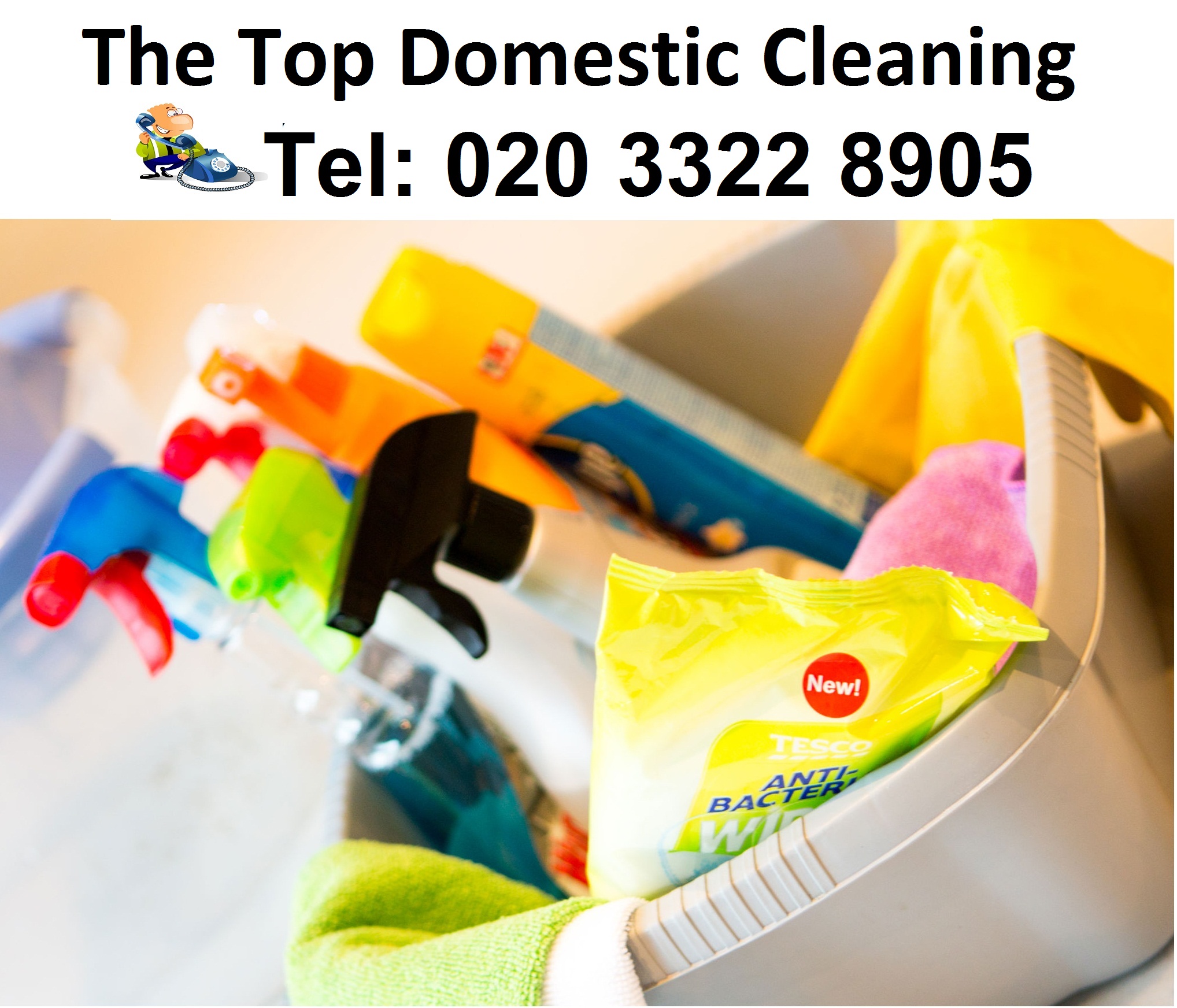 Various types of Domestic Cleaning London services 