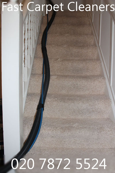 Factors that may have an effect on Carpet Cleaning Prices