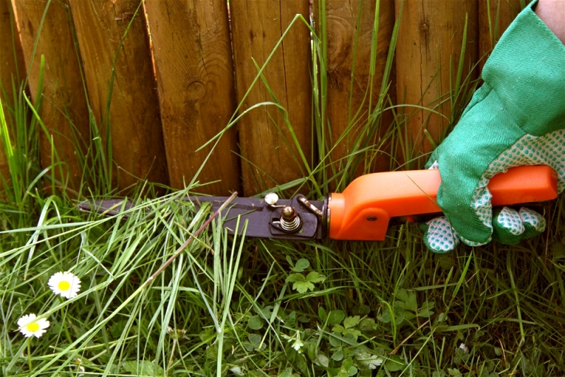 4 crucial Gardening London and lawn care ideas to help prepare for the summer months