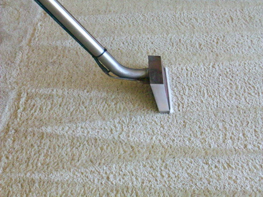 Selecting the best Carpet Cleaning form for use