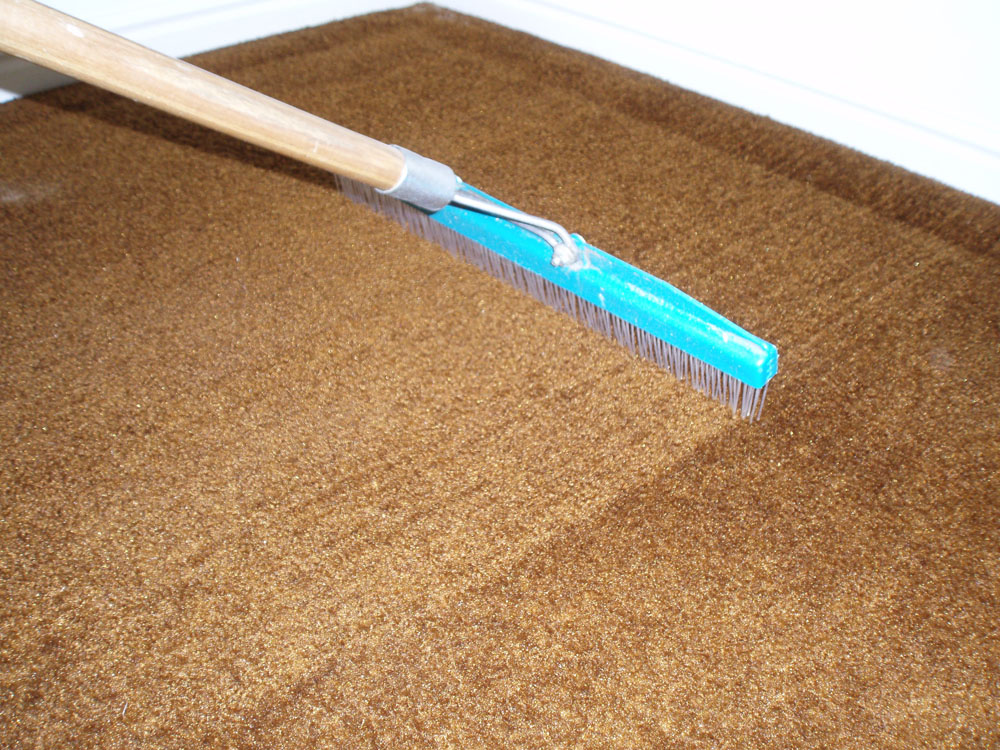 Carpet Cleaning Brighton tips on maintaining a clean carpet