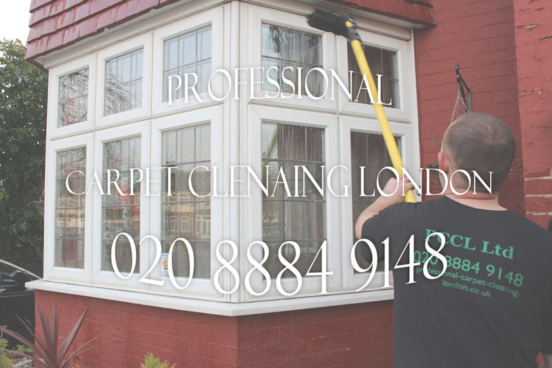 Professional-Carpet-Cleaning-Services
