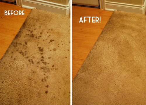 Rug-Cleaning-Cleaners-Horsham