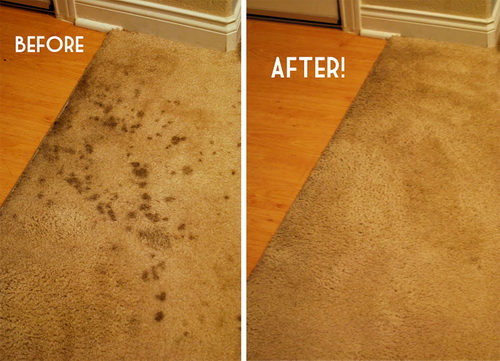 Rug-Cleaning-Cleaners-Horsham