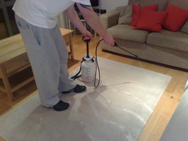 Carpet-Cleaners-Horsham