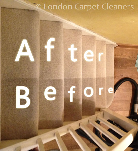 Carpet-Cleaners