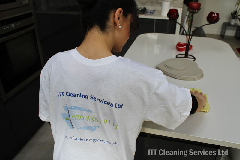 Professional-Cleaners-London